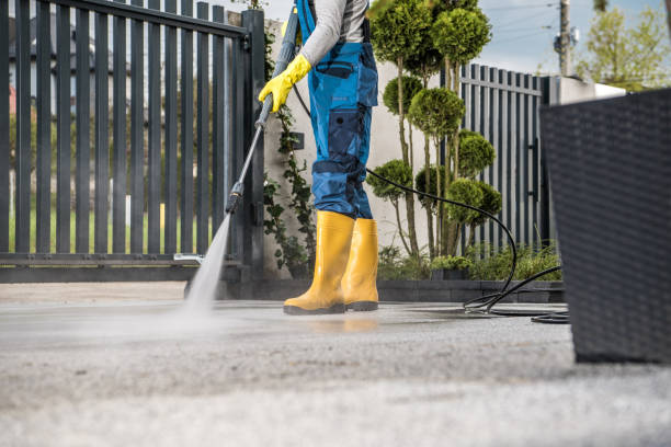 Best Dumpster Area Cleaning  in Rocky Point, NY